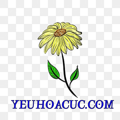 YeuHoacuc.com